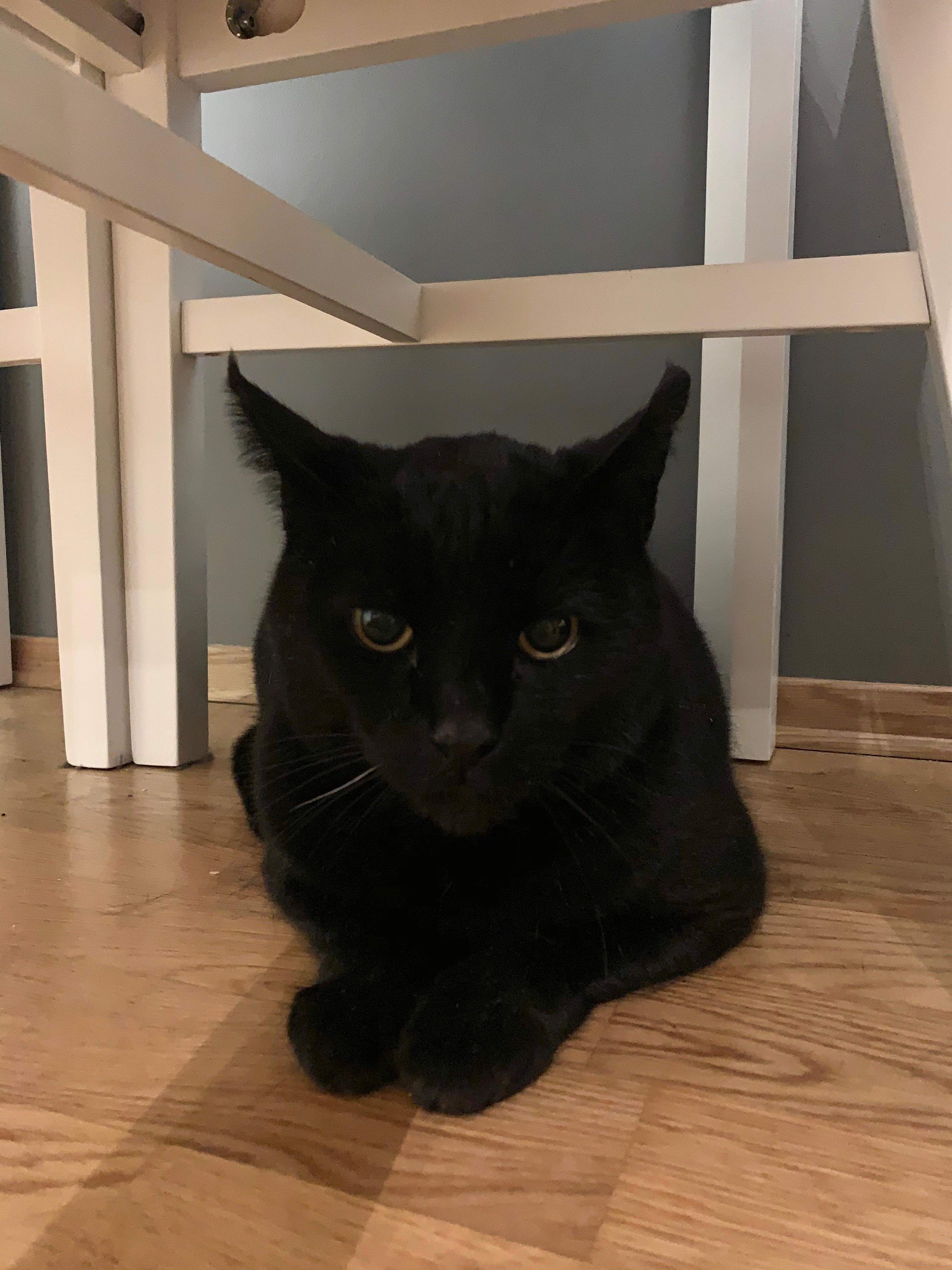 1DC9D543-000B-4F6F-BC74-8FA8D72B00C7