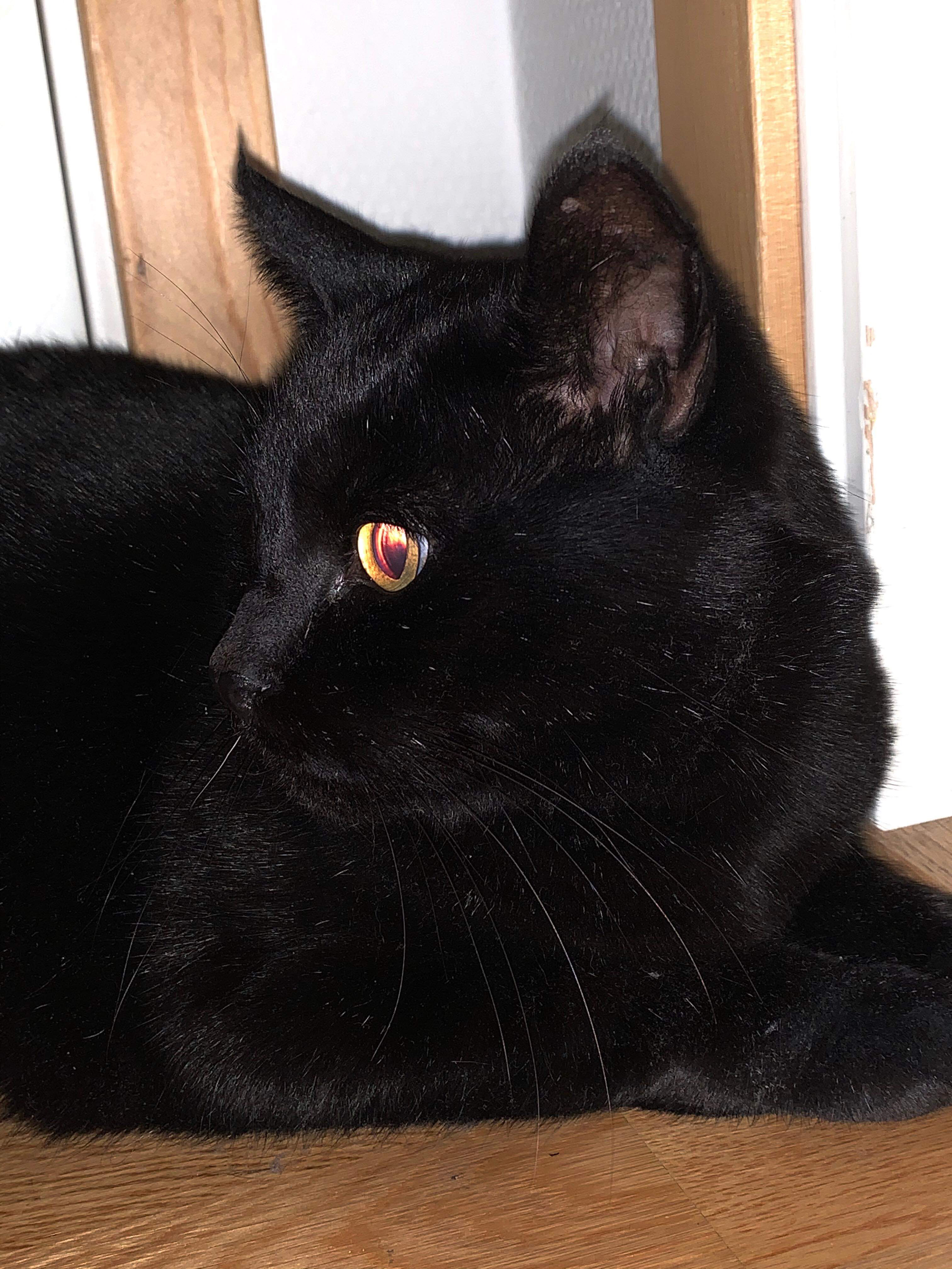 4BE4A722-6A5D-4FE8-874E-71B0261828D5