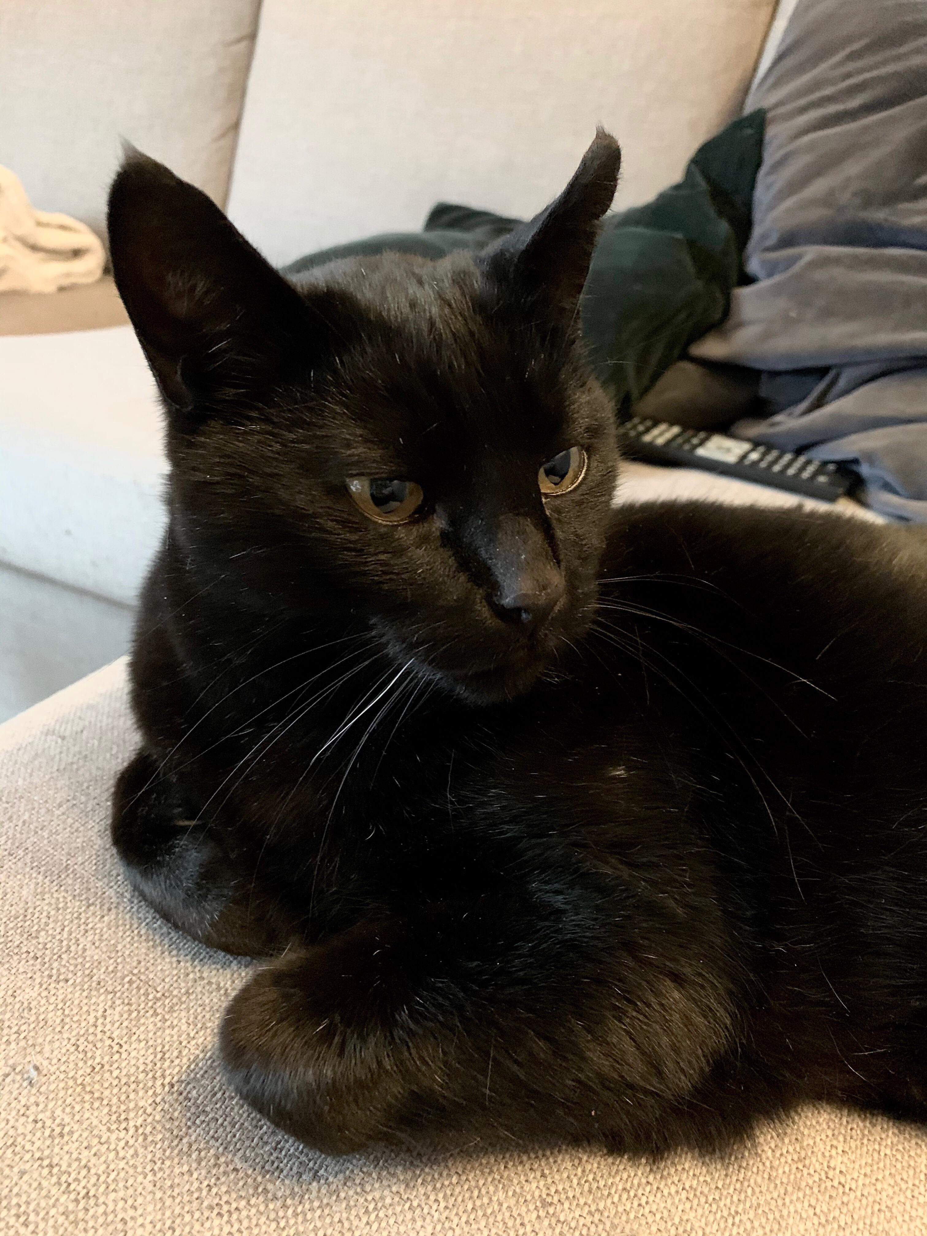 703CAA53-0837-408E-B59C-AD4DFA70873C