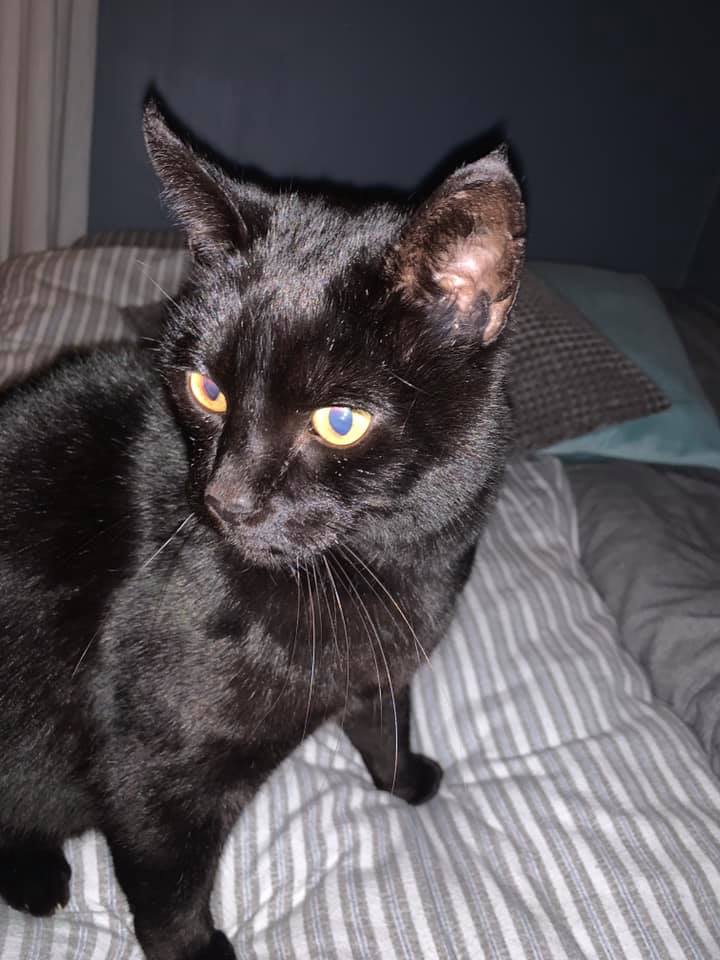 81301846_10157629754920155_7591259617988968448_n