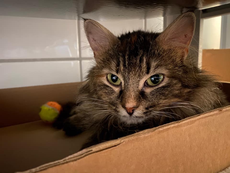 275284097_10160262132000656_1006751218089428402_n