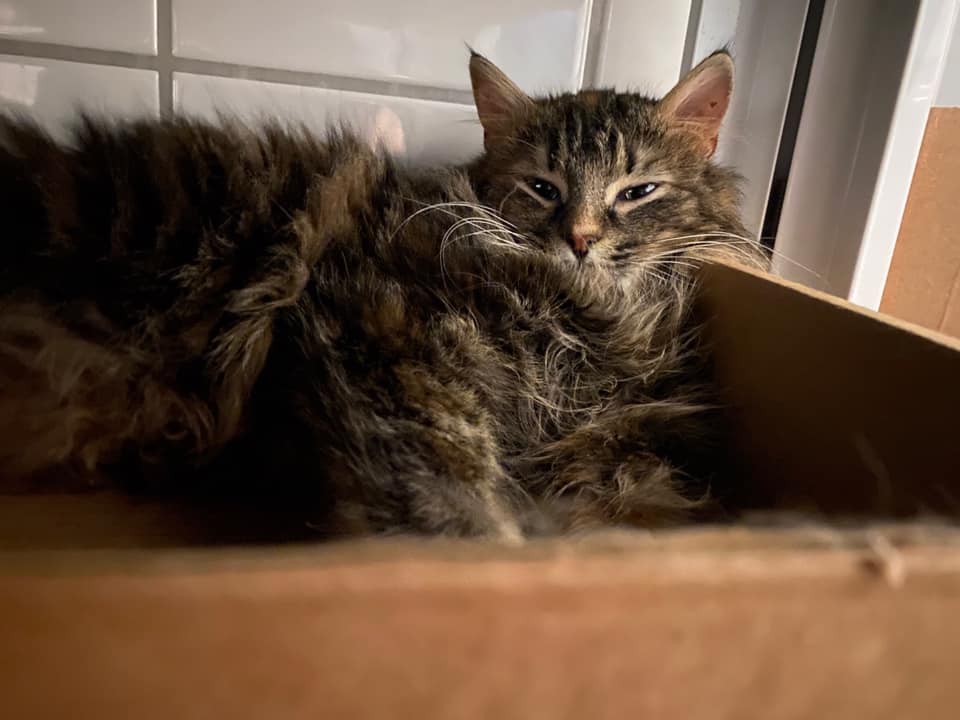 275300049_10160262132235656_4869858050623304128_n