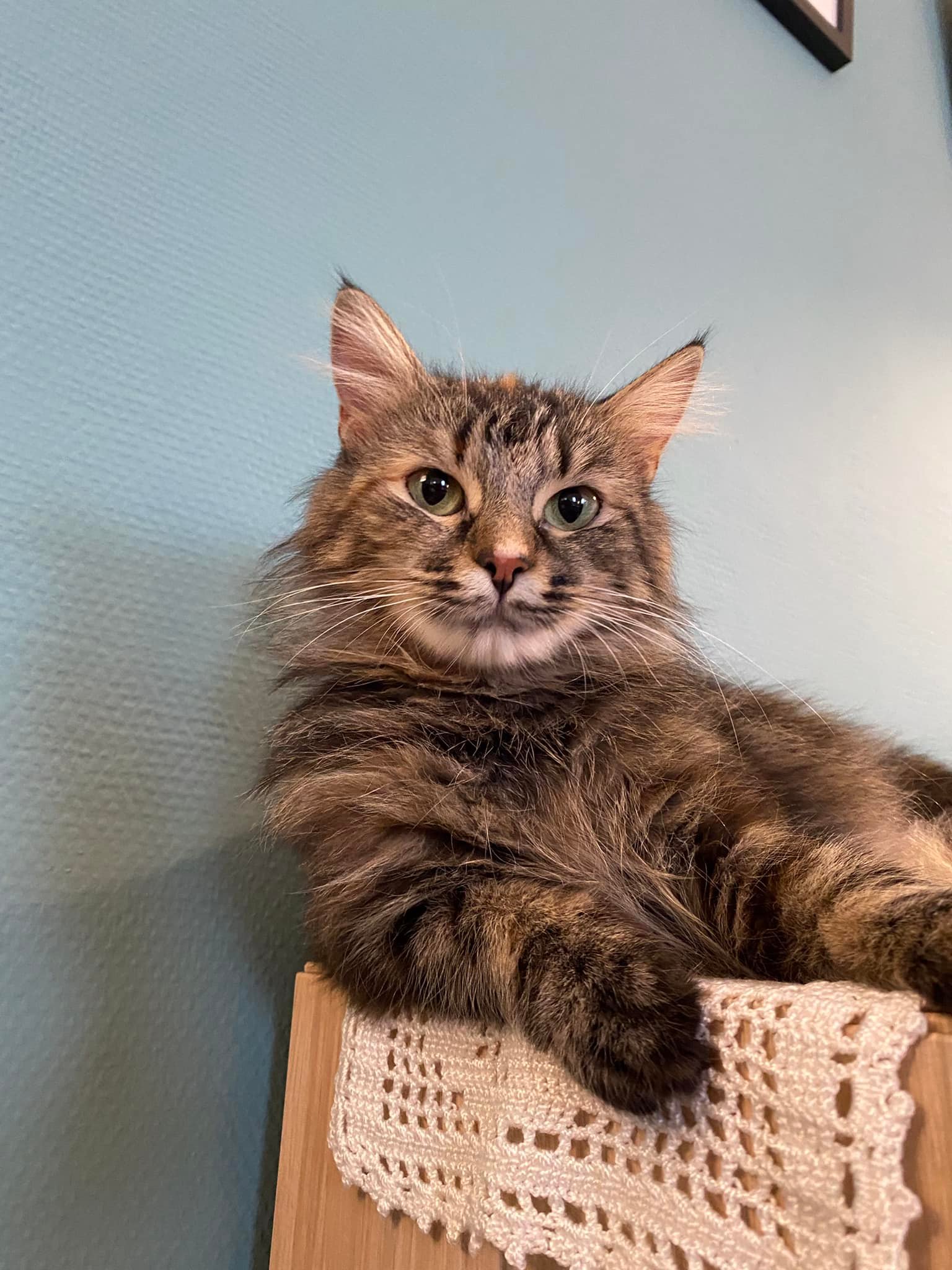 279195278_10160345267940656_1871424727923669374_n