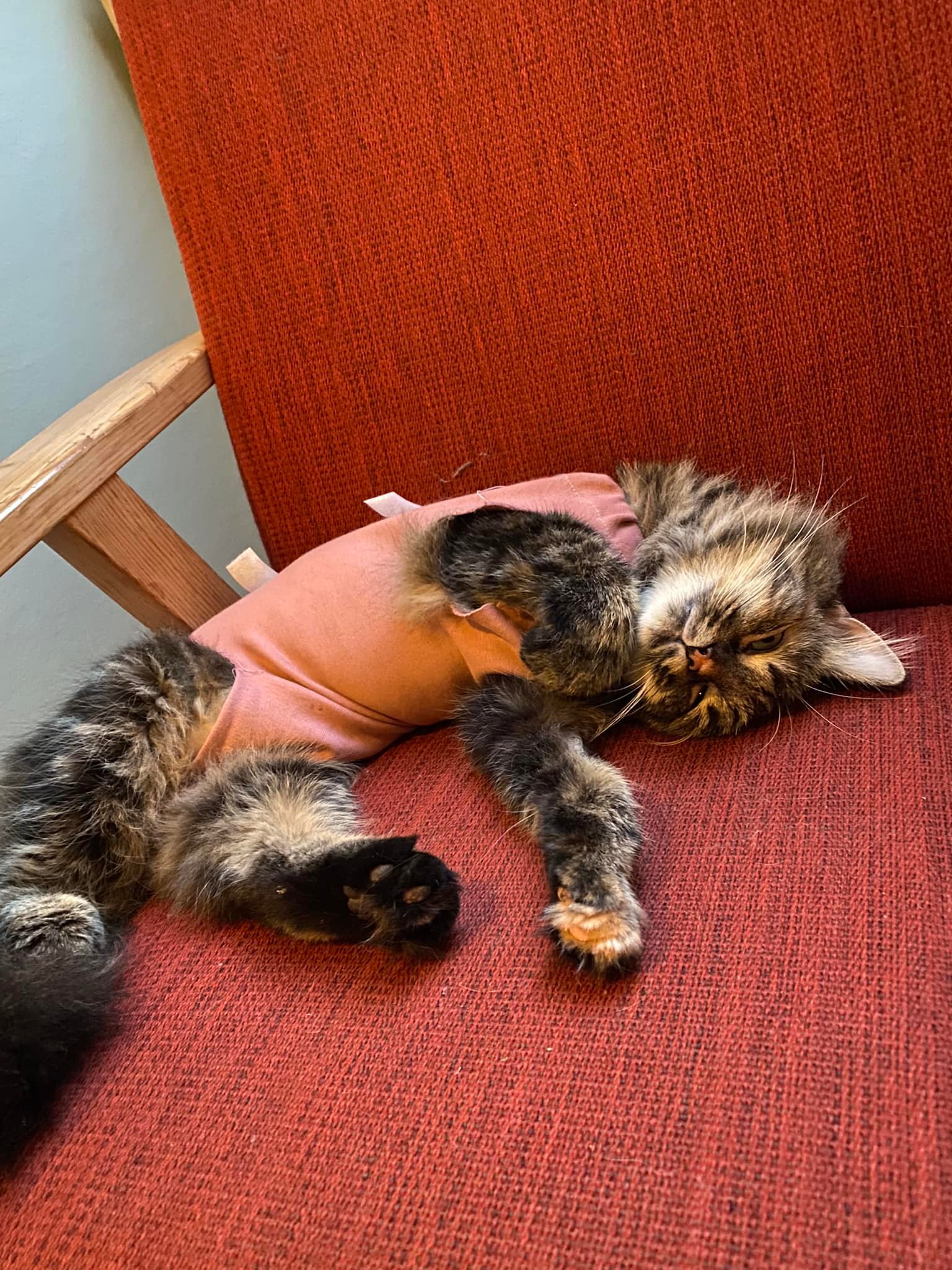 291444972_5964861050195939_2422211577160711312_n