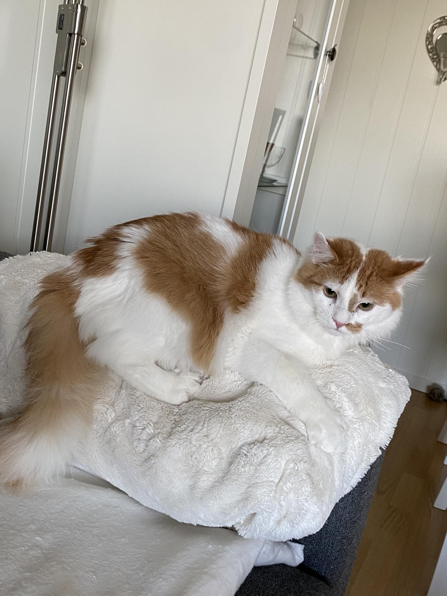 430463999_7294802253919842_1741495858813937638_n