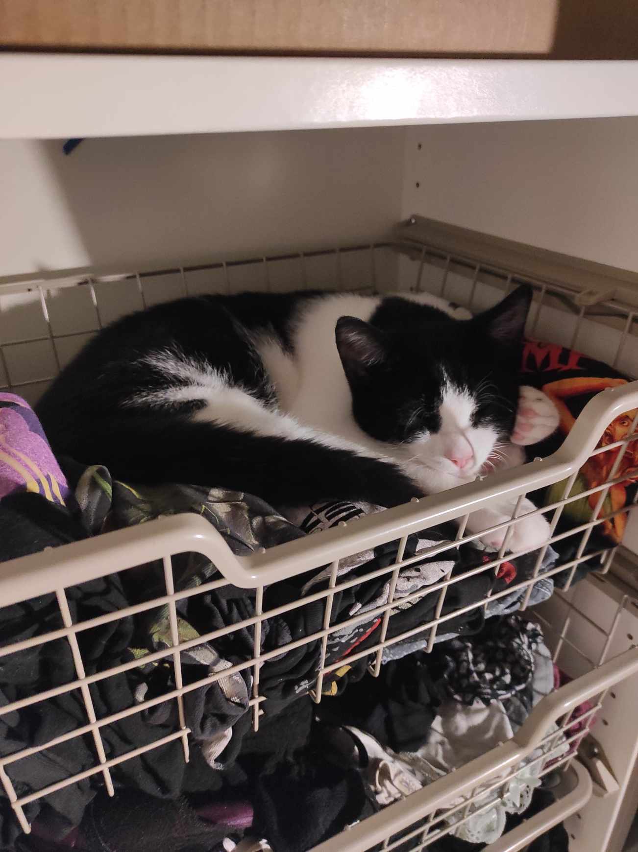 462558657_1795536957851356_4892782239230970733_n (1)