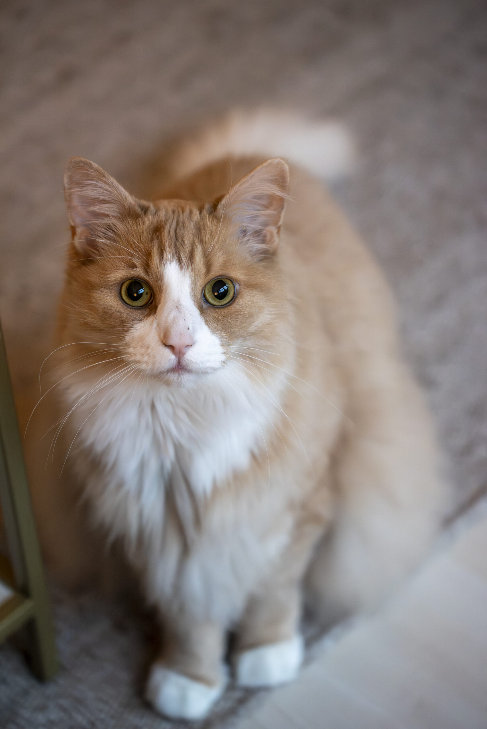 _DSC4914-Enhanced-NR (1)