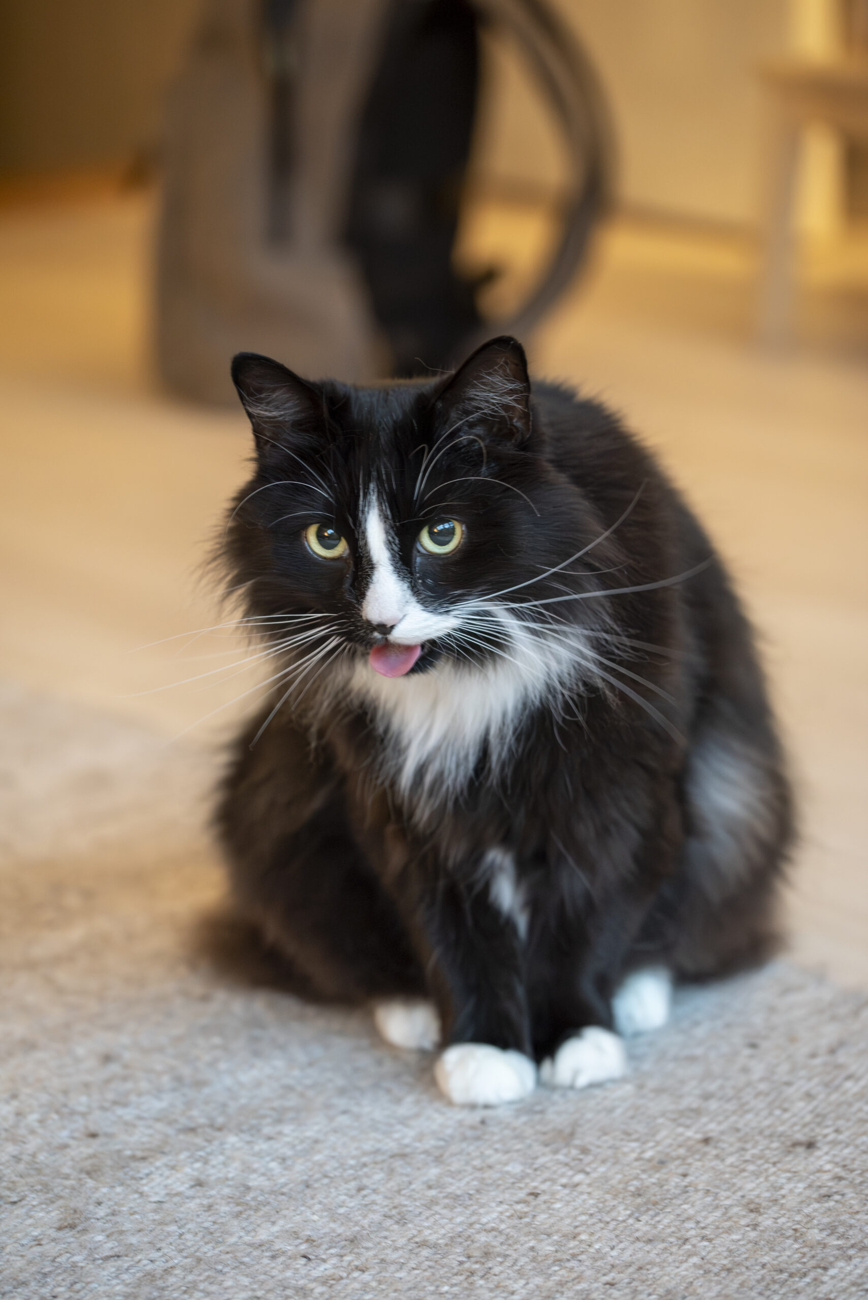 _DSC4935-Enhanced-NR