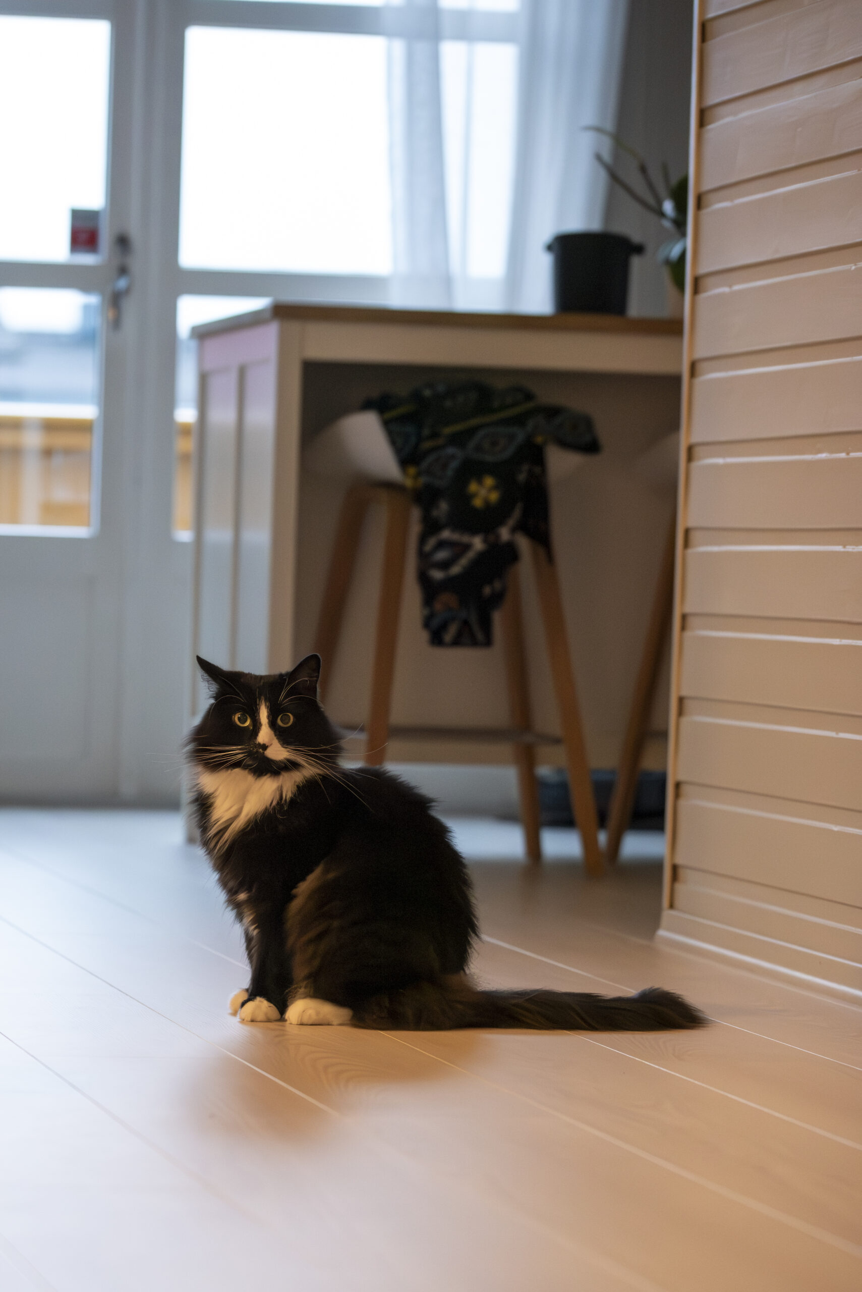 _DSC4996-Enhanced-NR