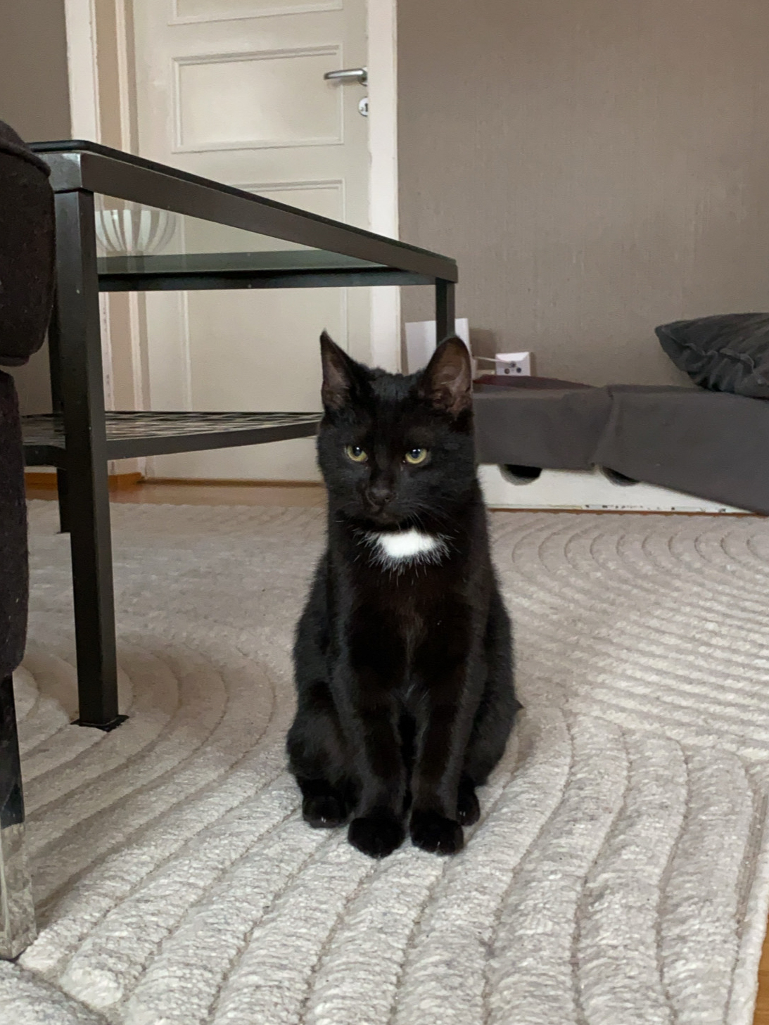 CjYKMlNuYXBjaGF0LzEzLjEyLjAuNDEgKGlQaG9uZTEyLDU7IGlPUyAxNy41LjE7IGd6aXApIAI=