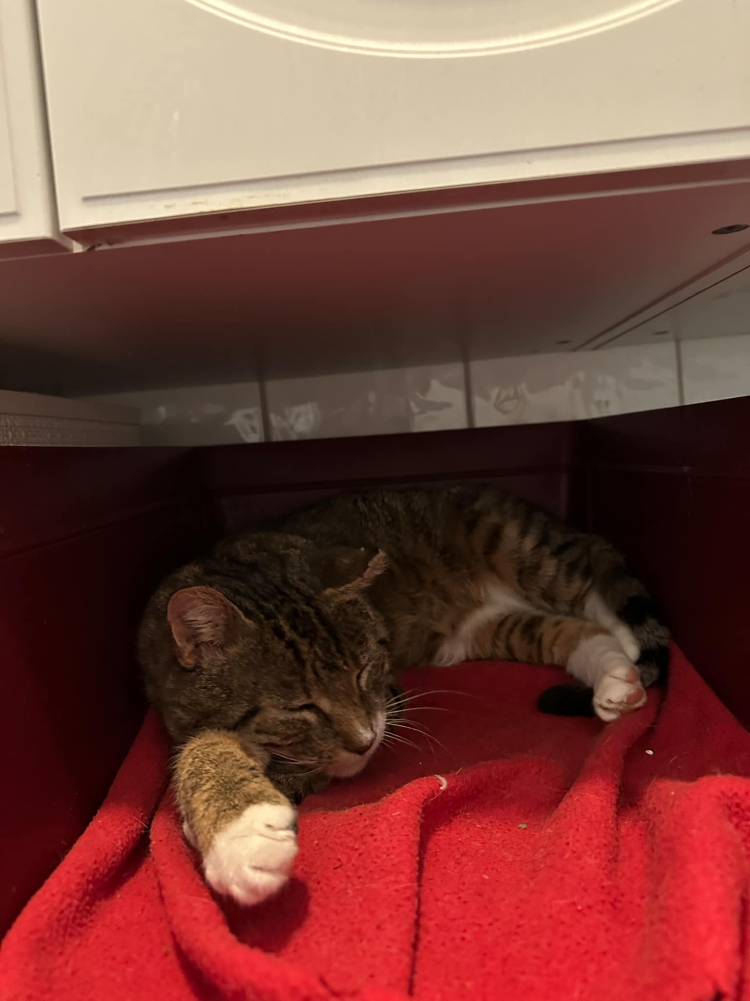 Messenger_creation_DC9B3A72-3CA6-4FCB-B65A-BB9D42FFE545