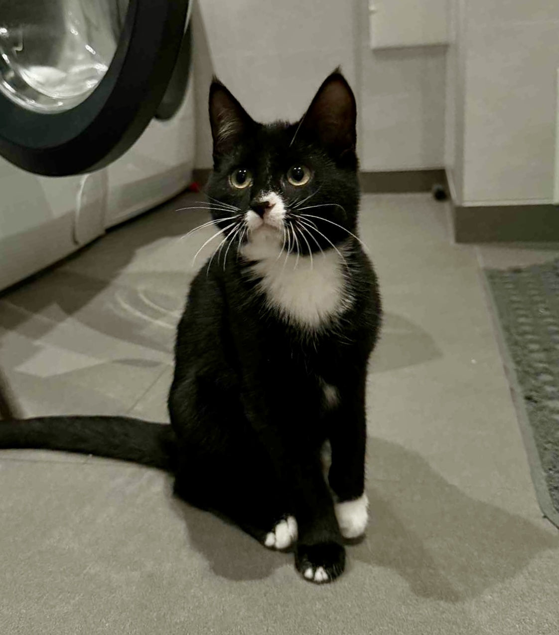 att.5epquqSpFJMdZpzfeb3znmSmjZNKDs_Lof8w5vaWHVo 2