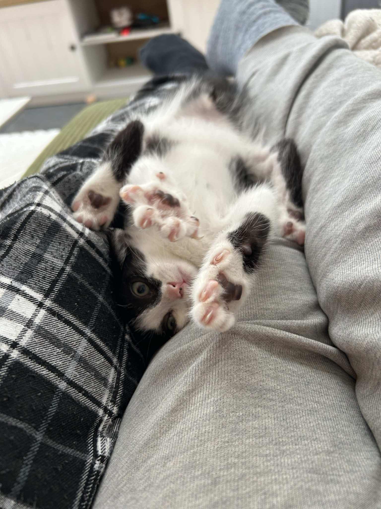 c7d997e6-7642-4929-afd7-bcb173f071aa (1)